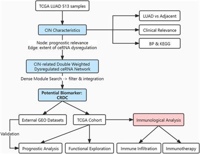 Prognostic Implications and Immune Infiltration Characteristics of Chromosomal Instability-Related Dysregulated CeRNA in Lung Adenocarcinoma